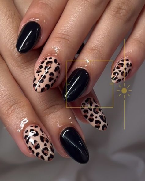 🐆🖤 #asthetic #astheticnails #cheetah #cheetahnails #cheetahprint #gelx Black Nail Designs Leopard, Oval Cheetah Nails, 8 Ball Cheetah Print Nails, Subtle Leopard Print Nails, Short Almond Cheetah Nails, Color Cheetah Nails, Chita Print Nails, Simple Leopard Nails, Square Cheetah Nails