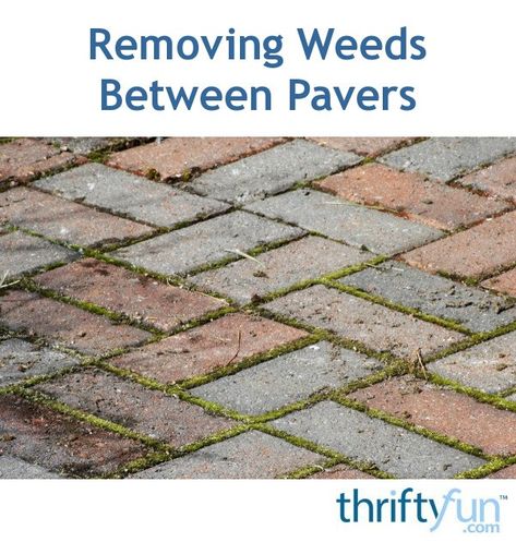 How To Remove Grass, Paver Sidewalk, Paving Stone Patio, Sidewalk Repair, Brick Paver Driveway, Kill Weeds Naturally, Killing Weeds, Backyard Plans, Weeds In Lawn