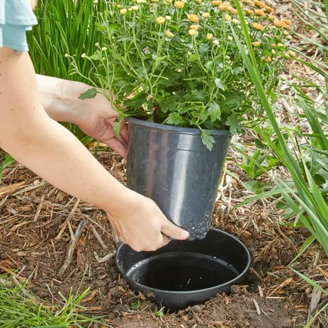 Super-Simple Landscaping Hack: Plant Your Pots Landscaping Tools, Chicken Coop Designs, Garden Hacks, Lawn Edging, Gardening Hacks, Everyday Hacks, Family Handyman, Colorful Plants, Amazing Life Hacks