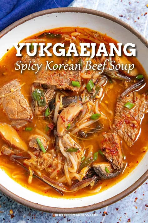 Yukgaejang is a hearty, spicy Korean vegetable beef soup recipe loaded with flavor, ready to warm your soul, vibrant red in color, an easy one-pot meal! Spicy Beef Soup Recipes, Asian One Pot Meals, Yukgaejang Recipe, Korean Beef Soup Recipe, Spicy Korean Soup, Korean Beef Stew Recipe, Korean Beef Soup, Korean Beef Stew, Spicy Korean Beef