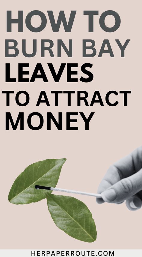 So, do bay leaves attract money? The answer is YES. If you believe in the Law of Attraction, bay leaves do attract money.While there is no scientific evidence to support these claims, many people continue to use bay leaves as a way of manifesting their financial goals. Continue reading to find out how to burn bay leaf for money in 5 steps. Bay Leaves Uses, Bay Leaf Benefits, Burn Bay Leaves, Burning Bay Leaves, Money Prayer, Money Spells That Work, Good Luck Spells, Relationship With Money, Feng Shui Tips