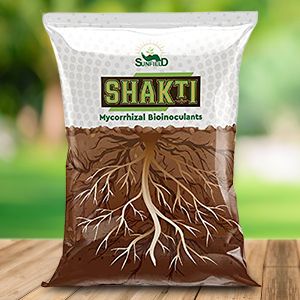 Sunfield Agro Shakti VAM Mycorrhiza Root Growth Booster & Essential Organic Plant Fertilizer Enriched with Power of Humic Acid and Seaweed Extract (1 Kg) Fertilizer Packaging Design, Organic Plant Fertilizer, Mandir Decoration, Plant Fertilizer, Brochure Design Layouts, Acid And Alkaline, Labels Design, Humic Acid, Design Layouts