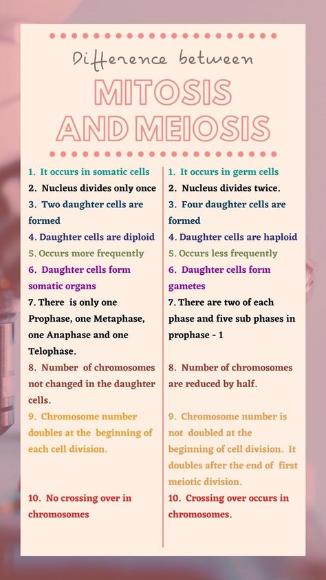 Questions on Meiosis (Biology) Grade 7 Science, Mitosis And Meiosis, Somatic Cell, Permutations And Combinations, Cell Forms, Questions With Answers, Cell Division, Quiz Questions And Answers, Multiple Choice Questions