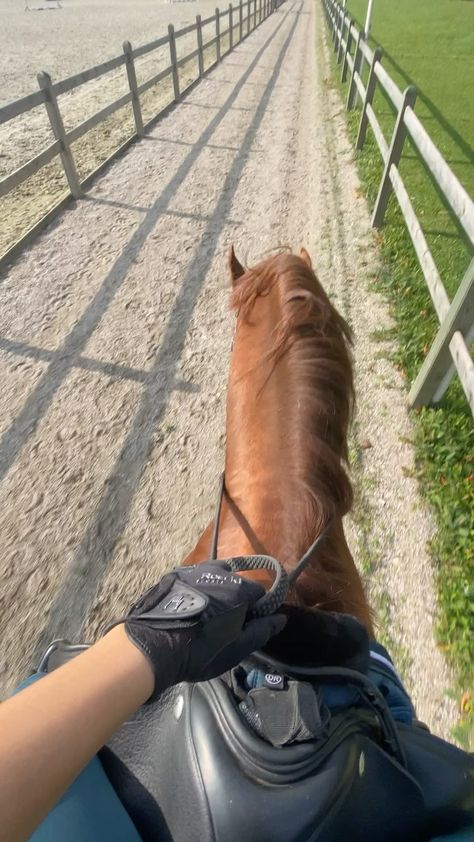 Horsey Life, Horse Riding Aesthetic, Pictures With Horses, Cute Horse Pictures, Equestrian Aesthetic, Horse Camp, Farm Lifestyle, Horse Aesthetic, Horse Videos