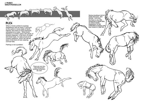 Bucking Futs by sketcherjak on deviantART Bucking Horse Drawing, Horse Bucking Drawing, Horse Kicking Drawing, How To Draw A Horse Running, Horse Bucking, Rearing Horse Drawing, Draw Horse, Horse Movements Drawing, Horses Running Drawing