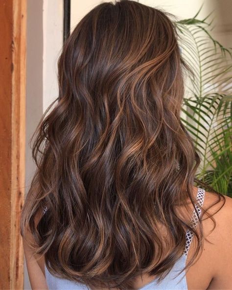 Brown Hair Colors Dark Roots, Toned Down Highlights, Sun Kissed Brown Hair Short, Brunette With Sun Kissed Highlights, Brunette Warm Highlights, Brown Partial Highlights, Brown Hair Colors Fall, Sun Kissed Dark Brown Hair, Balayage Hair Brunette With Caramel