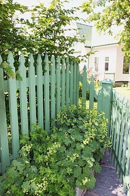 Picket Fencing can really dress up your home and make a huge improvement of how your house looks. See our gallery from white to cedar picket fence designs. Landscape Lighting Ideas Front Yards, Painted Fences, Country Fences, Green Fence, Garden Fences, Picket Fences, Green Cottage, Gates And Fences, Cheap Fence