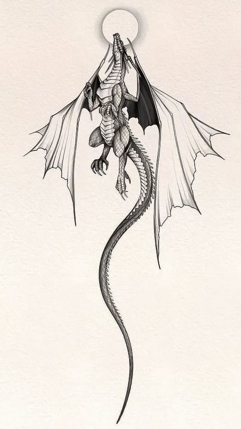 Midevil Dragon Tattoos, Wyvern Illustration, Dragon Tattoo Designs Sketches, The Thirteen Tog Tattoo, Small Dragon Tattoo Designs, Small Dragon Drawing, Dragon Sketch Tattoo, European Dragon Tattoo, Dragon Tattoo Game Of Thrones