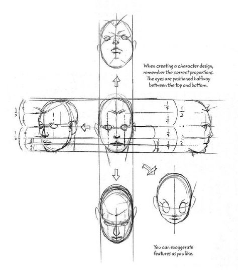 From the book Manga in Theory and Practice Araki Hirohiko Sketch, Jojo Anatomy Reference, Jojo Sketches Araki, How To Draw In Jojo Art Style, Jojo Poses Manga, Jojo Pose Sketch, Jojo Style Drawing Tutorial, Jjba Manga Art, Jojo's Bizarre Adventure Art Style