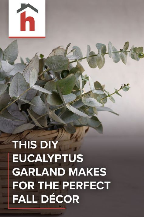 Finding the perfect seasonal décor for fall can be both challenging and expensive, particularly if you're looking for garlands to provide a natural backdrop to centerpieces, mantels, and console tables. #eucalyptus #plants #fauxplants #decor #garland Diy Eucalyptus Garland, Faux Eucalyptus Garland, Diy Eucalyptus, Eucalyptus Centerpiece, Faux Eucalyptus, Eucalyptus Garland, Beautiful Centerpieces, Faux Plants, Console Tables