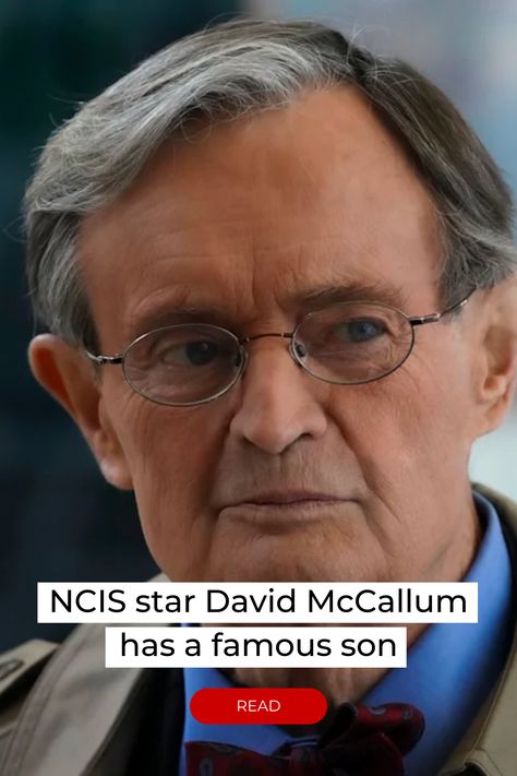 The actor’s son is also in showbiz British Male Actors Over 40, British Male Actors, Ncis Stars, City Chicken, Crochet Bunnies, Chocolate Muffin Recipe, Chocolate Muffin, David Mccallum, Michael Weatherly