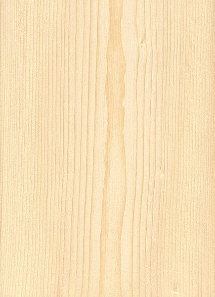 Black Spruce | The Wood Database (Softwood) Curtains 2023, Pine Wood Texture, Black Spruce, White Spruce, Wood Facade, The Spruce, Tree Textures, Southern Pine, Wood Images