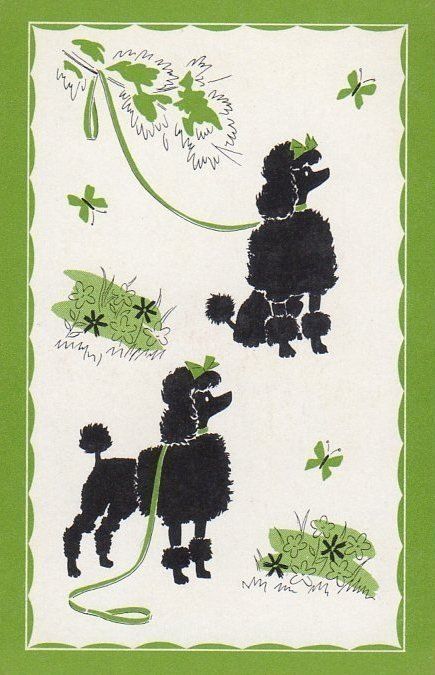 Poodle illustrations, c. 1950s.