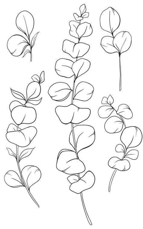 Eucalyptus Outline, Eucalyptus Line Drawing, Drawing Eucalyptus, Plant Sketches, Fineliner Art, Drawing Scenery, Line Art Flowers, Botanical Line Drawing, Tattoo Outline Drawing