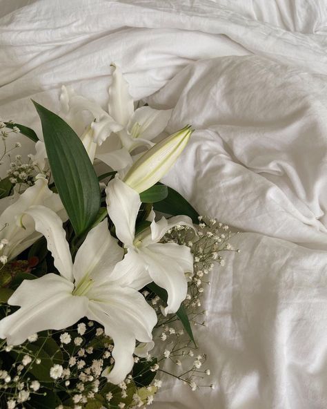 White Lily Bouquet Aesthetic, White Lillies Aesthetic, White Lilies Aesthetic, White Lily Aesthetic, White Lily Flower Bouquet, White Lily Bouquet, White Lily Flower, White Lilly, Lily Calloway