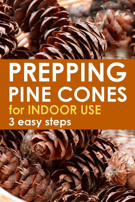 Pine Cone Projects, Pine Cone Ideas, Pinecone Ideas, Cone Ideas, Pinecone Art, Mini Pine Cones, Pinecone Crafts Christmas, Pine Cone Art, Pinecone Crafts