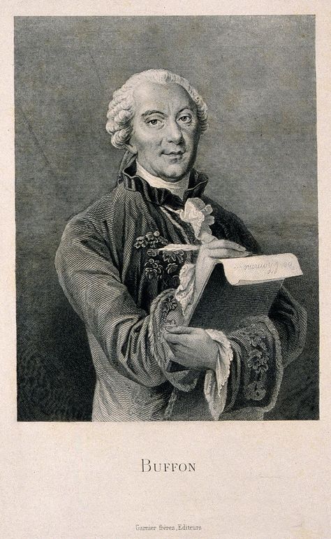 Paige Madison on Twitter: "Happy #histsci birthday to Buffon, who studied all the animal kingdoms. #HistoireNaturelle https://t.co/wYMjKaGgdq https://t.co/NRYmzIlJhP" Georges Cuvier, Jean Baptiste, Animal Kingdom, 18th Century, The Next, France, Birthday, Twitter