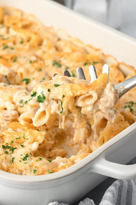 Oven Baked Chicken Casserole, Leftover Ground Chicken Recipes, Chicken Cutlet Casserole Recipes, Chicken Pasta With Cream Of Chicken Soup, Recipes With Leftover Pasta, Dinner Recipes Make Ahead, Creamy Chicken Pasta Casserole, Super Easy Casserole Recipes, Chicken And Noodle Recipes Easy