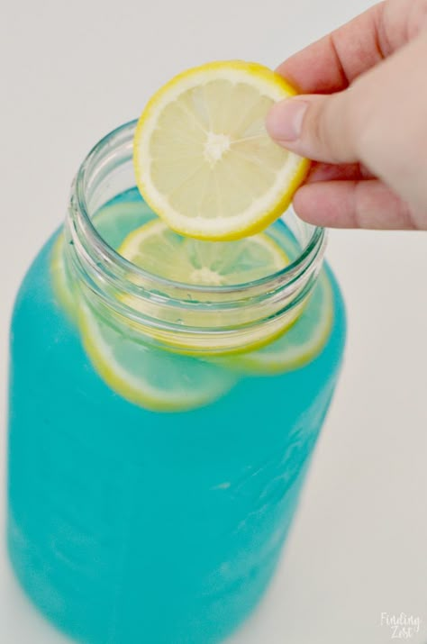 This lemonade punch recipe is the perfect drink to serve guests at your Pigeon party! Created in celebration of The Pigeon HAS to Go to School! by Mo Willems, this blue drink mimics the colors of the beloved book character, Pigeon. Serve this refreshing blue lemonade with lemon slices in a large mason jar to make it super easy to transport. Blue Lemonade Punch, Blue Lemonade Recipe, Kids Drinks Party, Lemonade Punch Recipe, Blue Punch Recipe, Blue Raspberry Lemonade, Blue Snacks, Blue Lemonade, Blue Punch