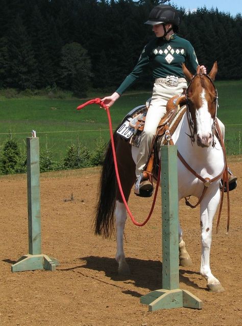 Trail is a competitive class at horse shows where horses ... Horse Obstacle Course, Obstacle Course Ideas, Horse Obstacles, Horse Training Exercises, Horse Lessons, Horse Arena, Horse Exercises, Horse Back Riding, Horse Info