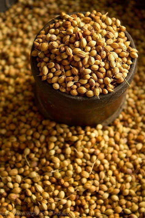 coriander-seeds Jaguar Perfume, Veg Photography, Seeds Photography, Coriander Plant, Spice Photography, Growing Coriander, Astrology Witch, Spices Photography, English To Hindi