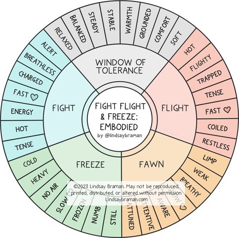 Image is a drawing of a Fight, Flight, & Freeze Embodied Wheel by Lindsay Braman. The inner circle is a solid white circle that reads, "Fight Flight & Freeze: Embodied by @LindsayBraman." The second circle – moving outward – is where major response categories are written. Moving clockwise from the top center, the categories read: window of tolerance (grey), flight (red), fawn (orange), freeze (green), and fight (blue). The third, outermost circle is where the corresponding feelings to those response categories are written. In the grey section of window of tolerance are the feelings of: relaxed, balanced, steady, stable, warmth, grounded, comfort, and soft. In the red section of flight are the feelings of: hot, flighty, trapped, tense, fast heart rate, coiled, and restless. In the oran Window Of Tolerance, Mental Health Facts, School Social Work, Mental Health Counseling, Counseling Activities, Mental Health Therapy, Therapy Counseling, Counseling Resources, Emotional Awareness