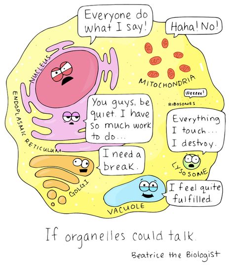 Science Teacher Humor, Biology Jokes, Birthday For Dad, Gcse Biology, Science Comics, Biology Humor, Plant And Animal Cells, Cells Project, Earth Projects