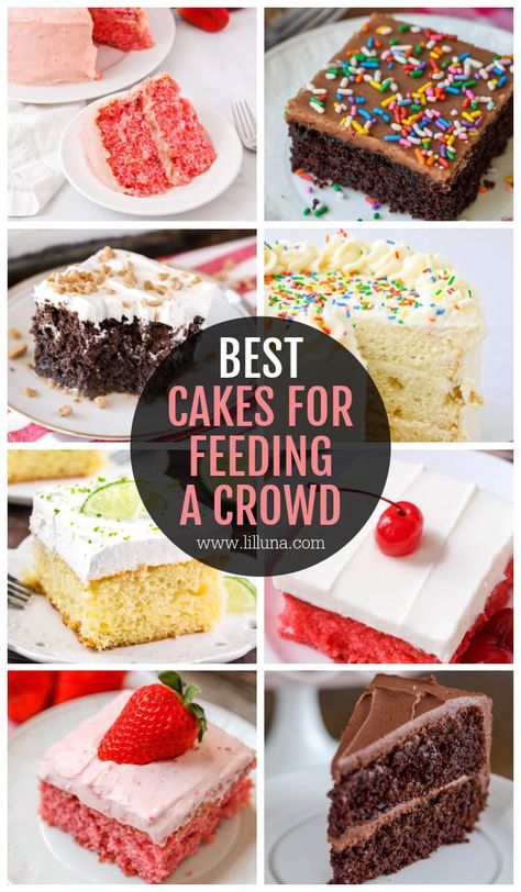 You can never have too much cake, right?! It's better to have too much than too little. You're in good hands with any of these delicious cakes that feed a crowd! #cakesforacrowd #cake #cakerecipes #sheetcake Birthday Cake For 100 People, Birthday Cake For A Crowd, Large Cake Recipe, Cake For 25 People, Large Cakes For A Crowd, Birthday Cake Bars, Cakes For Cake Walk, Cake For 30 People, Cake For 20 People