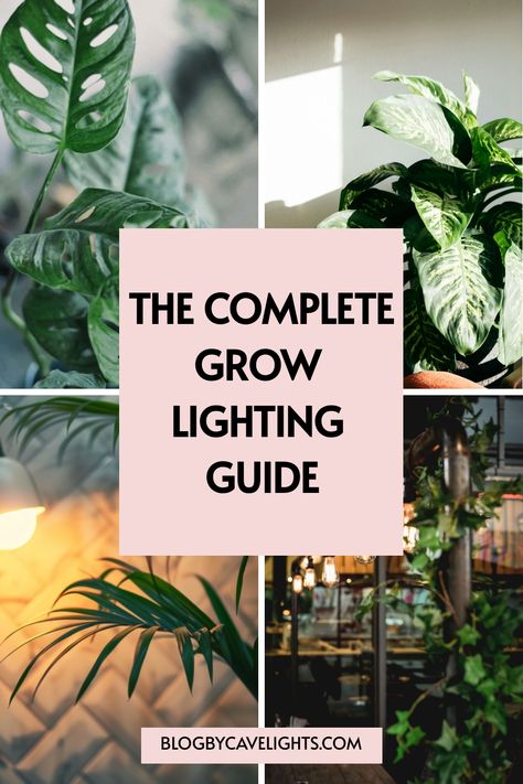 🌿 Ready to revamp your indoor garden? Our complete grow lighting guide covers the best plant light fixtures and innovative grow light ideas for a lush and thriving space. Click now to transform your plant care routine! 🌟🌱 Plant Lights Indoor Setup, Plant Lighting Guide, Grow Light Ideas, Grow Lights Diy, Indoor Cactus Garden, House Jungle, Cheap Plants, Indoor Farming, Best Grow Lights