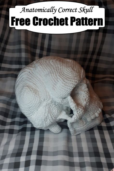 Crochet Skull Planter, Crochet 3d Skull, Goat Skull Crochet Pattern Free, Skull Free Crochet Pattern, Crochet Stuffed Animals Free Patterns Halloween, Skull Amigurumi Free Pattern, Diy Halloween Crochet, Crochet Skeleton Plushie, Crochet Skull Amigurumi