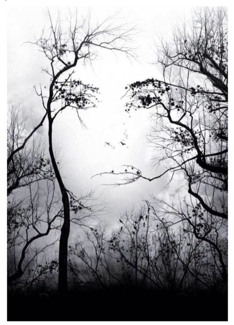 Woman's face in trees Image Illusion, Illusion Kunst, Boom Kunst, Illusion Paintings, Tree Faces, Optical Illusions Art, Raster Image, Hur Man Målar, Illusion Art