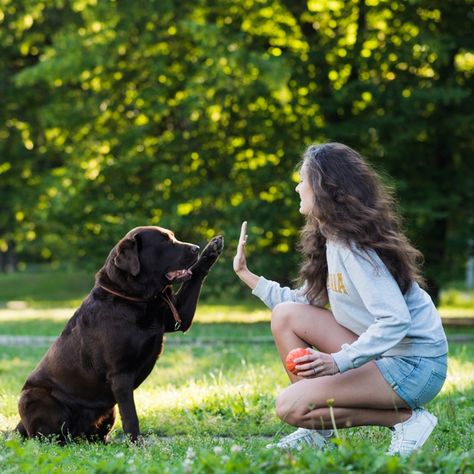 Dog Owner Photoshoot, Dog Family Pictures, Pet Photography Poses, Dog Photoshoot Pet Photography, Family Pet Photography, Dog Photography Poses, Animal Photoshoot, Puppy Photography, Photos With Dog