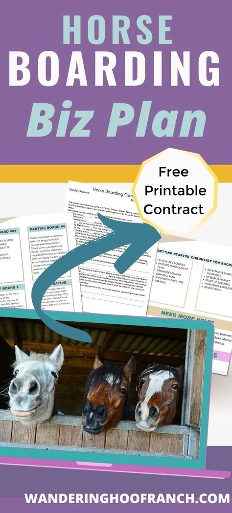 How To Start A Horse Boarding Business, Horse Boarding Contract, Horse Business Ideas, Horse Boarding Business, Owning Horses, Mini Horse Barn, Start Homesteading, Money Hobbies, Make Money Homesteading