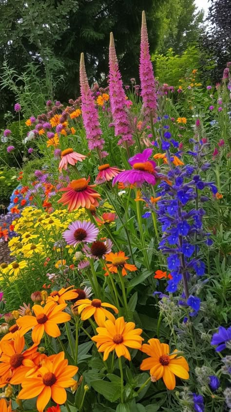 Spiky Flowers, Colorful Perennials, Sedum Stonecrop, Attracting Butterflies, Coral Bells Heuchera, Shasta Daisy, Russian Sage, Personal Garden, Garden Flower Beds