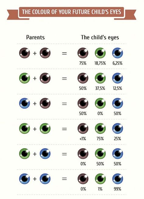 Having children is something that many couples dream of? Before the baby comes to the world, you may be eager to know what your kid will look like. It’s impossible to know for sure, but science can help you guess. The following inforgraphics can you a helpful primer on basic genetics.  So stop waiting and … Eye Color Chart Genetics, Eye Color Chart, Eye Facts, Trendy Eyeshadow, Eye Sketch, Baby Eyes, Unborn Baby, Story Prompts, Eyeshadow Primer