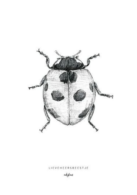 Bugs Drawing, Lady Bug Tattoo, Art Sketches Doodles, Bug Art, Arte Van Gogh, Sketches Doodles, Insect Art, Nature Drawing, Trik Fotografi