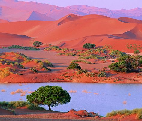 Namibia Desert, Nile River Cruise, Travel Noire, Namib Desert, Desert Environment, Wild Country, Desert Oasis, Southern Africa, 10 Reasons