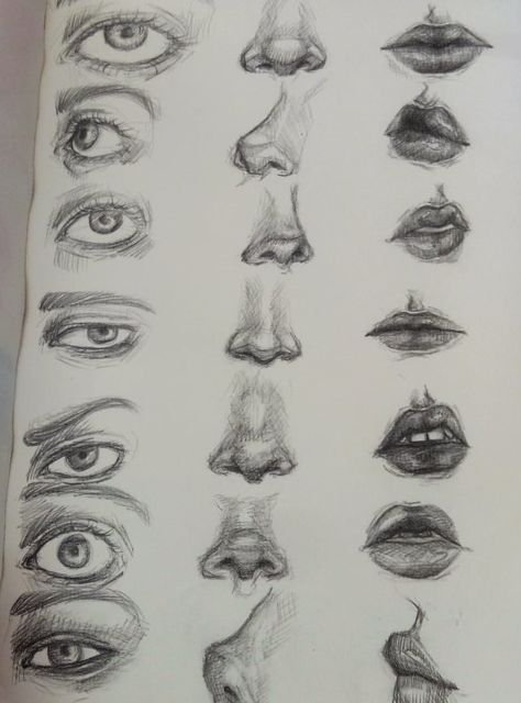 Human Face Sketch Tutorial, Eye Drawing Different Angles, Human Features Drawing, Masculine Nose Drawing, How To Draw An Eye For Beginners, Face Features Sketches, Drawing Tutorial Face Step By Step, Mouth Sketch Tutorial, Face Parts Drawing