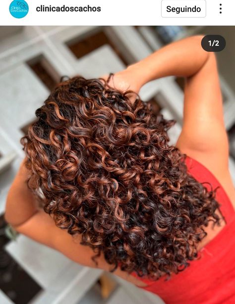 Copper Highlights On Brown Hair, Curly Balayage, Red Highlights In Brown Hair, Curly Hair Color Ideas, Curly Highlights, Curly Hair Color, Auburn Balayage, Dark Curly Hair, Highlights Curly