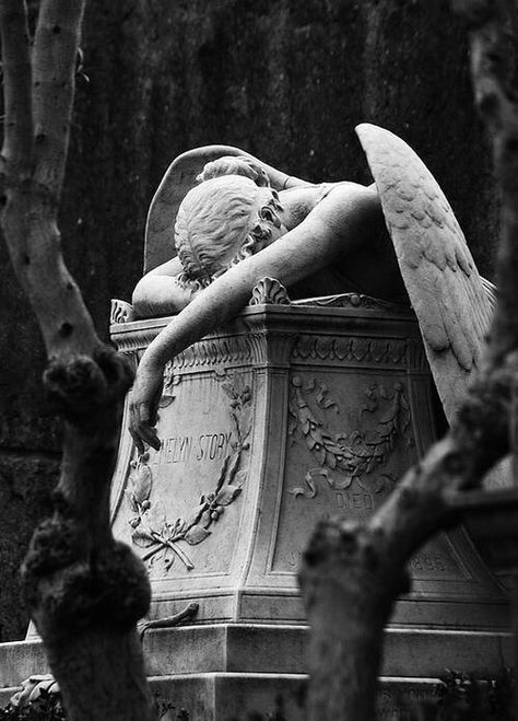 Angel statue with her head down Istoria Artei, Angel Statue, Cemetery Art, Slytherin Aesthetic, Angel Statues, Dark Academia Aesthetic, Black And White Aesthetic, Tombstone, An Angel