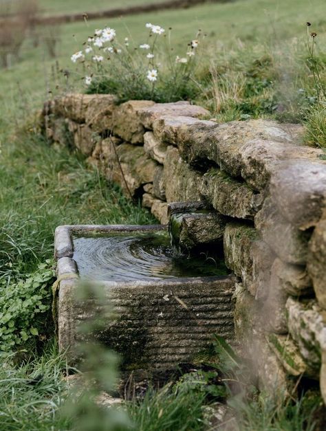 Water Basin Garden, Stone Walled Garden, Bubbling Water Feature, Dan Pearson Garden Design, Water In Garden, Water In The Garden, Dan Pearson Garden, Garden Rill, Natural Water Feature