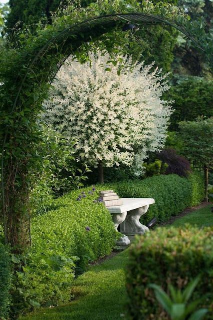 Eye For Design: Landscape With Old World Style Garden Benches Taman Air, Moon Garden, Formal Gardens, White Garden, Secret Gardens, Romantic Garden, White Gardens, Garden Seating, Gorgeous Gardens