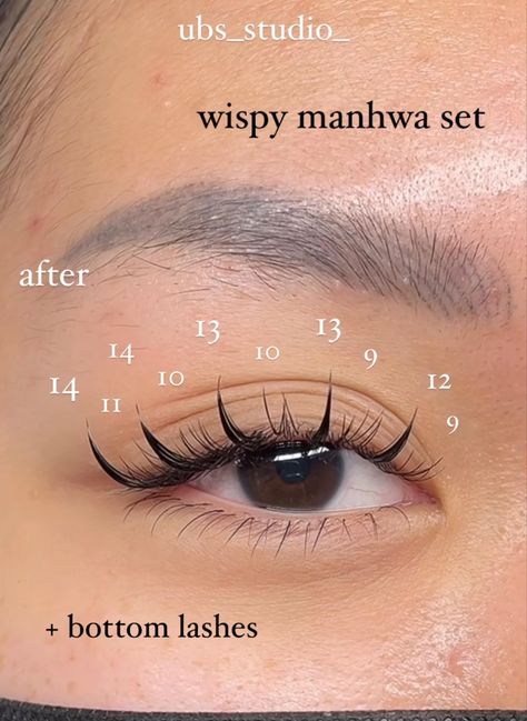 Anime Eyelash Tutorial, Manhua Lashes Mapping, Lash Extensions Styles Numbers, Manga Lash Extension Map, Manhua Lashes Map, Manga Lashes Extensions Map, Manga Lashes Black Woman, Manhwa Eyelashes, Manwha Lash Extensions