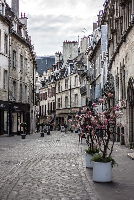 Dijon | Dijon, France | bittersweet.photography | Flickr Dijon France, Burgundy France, France Aesthetic, French Architecture, France Photography, Bournemouth, Gothic Architecture, Tasty Food Videos, European Travel