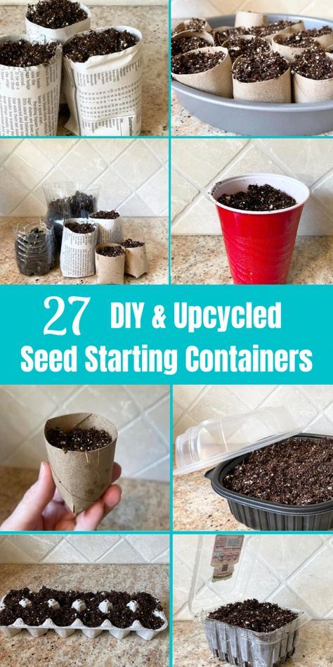 Diy Seed Starter Pots, Diy Plant Starter Containers, Diy Plant Starters, Indoor Plant Starter Seed Starting, Diy Indoor Seed Starting, Herb Seed Starting, Diy Seed Planter, Seed Container Ideas, Potting Up Seedlings