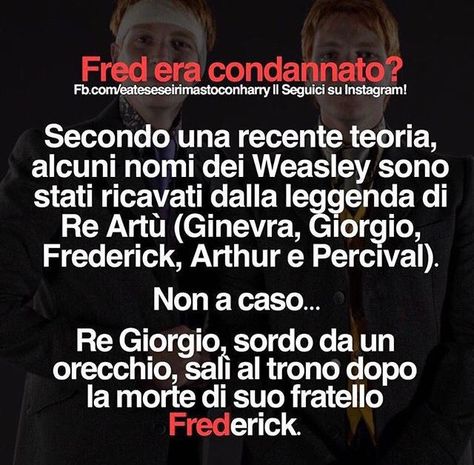 Headcanon Harry Potter, Fred E George Weasley, Meme Harry Potter, Stile Harry Potter, Harry Potter Quiz, Harry Potte, Potter Head, Fred And George Weasley, Harry Potter Tumblr