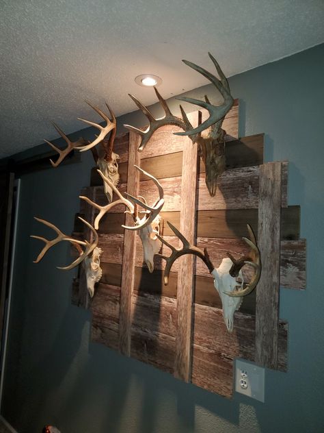 Made this out of shiplap Decorating With Hunting Mounts, Man Cave Deer Mounts, Deer Skull On Wall, Deer Head Display Ideas, European Mount Ideas Rustic, Deer Mount Display, Deer Mount Wall Arrangement Living Room, Room With Deer Mounts, What To Do With Antlers