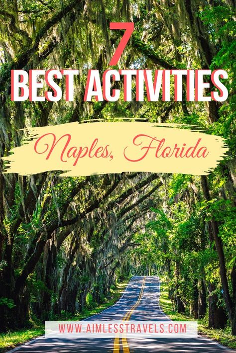 Things To Do In Naples, Florida Trips, Top Vacation Destinations, Kissimmee Florida, Outdoors Activities, Travel Destinations Bucket Lists, Clearwater Florida, Sanibel Island, Sarasota Florida