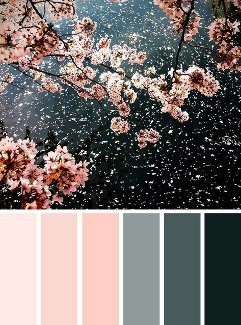 This Gorgeous photo makes me want to stand below that cherry tree, get showered by blossoms and twirl around like I'm in the Sound of Music LOL. Fun aside, what do you think of today's Color Inspiration? Blush Pink, Gray and Black. So elegant. Feminine, but not girly. Love it 😍 Pink Color Combination, Blush And Grey, Colour Pallets, Grey Color Palette, Color Palette Pink, Bathroom Color, Color My World, Colour Inspiration, Bedroom Green