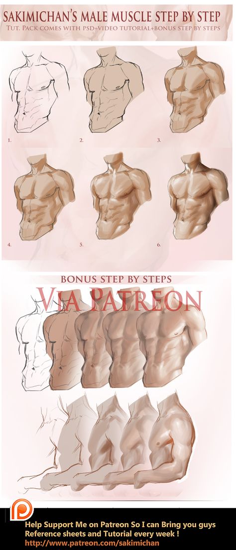 Male Muscle, Anatomy Tutorial, Human Anatomy Drawing, Anatomy Sketches, Body Reference Drawing, Body Anatomy, Coloring Tutorial, Digital Painting Tutorials, Anatomy Drawing